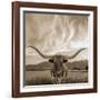 Longhorn-THE Studio-Framed Giclee Print