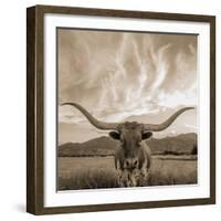 Longhorn-THE Studio-Framed Giclee Print