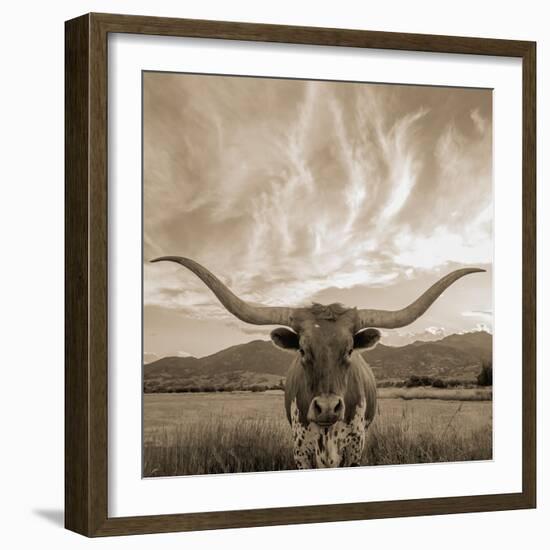 Longhorn-THE Studio-Framed Giclee Print