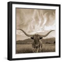 Longhorn-THE Studio-Framed Giclee Print