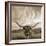 Longhorn-THE Studio-Framed Giclee Print