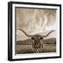 Longhorn-THE Studio-Framed Giclee Print