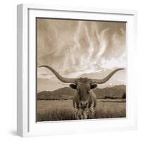 Longhorn-THE Studio-Framed Giclee Print