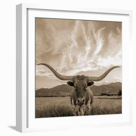 Longhorn-THE Studio-Framed Giclee Print