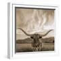 Longhorn-THE Studio-Framed Giclee Print