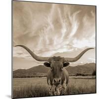 Longhorn-THE Studio-Mounted Giclee Print