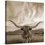 Longhorn-THE Studio-Stretched Canvas