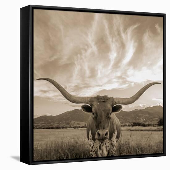 Longhorn-THE Studio-Framed Stretched Canvas