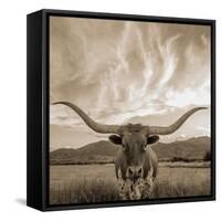 Longhorn-THE Studio-Framed Stretched Canvas