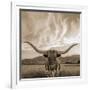 Longhorn-THE Studio-Framed Giclee Print