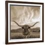 Longhorn-THE Studio-Framed Giclee Print