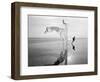 Longing For Wind 8, 2015-Jaschi Klein-Framed Photographic Print