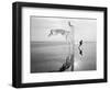 Longing For Wind 8, 2015-Jaschi Klein-Framed Photographic Print