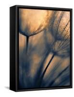 Longing-Ursula Abresch-Framed Stretched Canvas