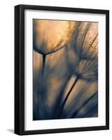 Longing-Ursula Abresch-Framed Photographic Print