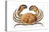Longipes Crab 1835-I^o^ Westwood-Stretched Canvas