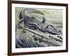 Longnose Gar (Lepisosteus Osseus), Lepisosteidae-null-Framed Giclee Print