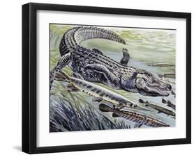 Longnose Gar (Lepisosteus Osseus), Lepisosteidae-null-Framed Giclee Print