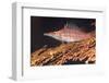 Longnose Hawkfish (Oxycirrhites Typus) on Gorgonian Sea Fans (Subergorgia Mollis)-Louise Murray-Framed Photographic Print