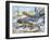 Longnose Leopard Lizard (Gambelia Wislizenii), Crotaphytidae-null-Framed Giclee Print