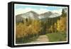 Longs Peak, Estes Park, Colorado-null-Framed Stretched Canvas