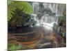 Longshan Temple Waterfall with Swimming Koi Fish, Taiwan-Christian Kober-Mounted Photographic Print