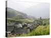 Longsheng Terraced Ricefields, Guilin, Guangxi Province, China, Asia-Angelo Cavalli-Stretched Canvas