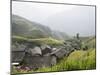 Longsheng Terraced Ricefields, Guilin, Guangxi Province, China, Asia-Angelo Cavalli-Mounted Premium Photographic Print