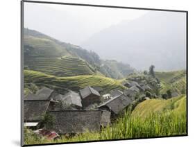 Longsheng Terraced Ricefields, Guilin, Guangxi Province, China, Asia-Angelo Cavalli-Mounted Photographic Print