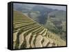 Longsheng Terraced Ricefields, Guilin, Guangxi Province, China-Angelo Cavalli-Framed Stretched Canvas