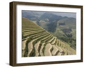 Longsheng Terraced Ricefields, Guilin, Guangxi Province, China-Angelo Cavalli-Framed Photographic Print