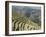 Longsheng Terraced Ricefields, Guilin, Guangxi Province, China-Angelo Cavalli-Framed Photographic Print