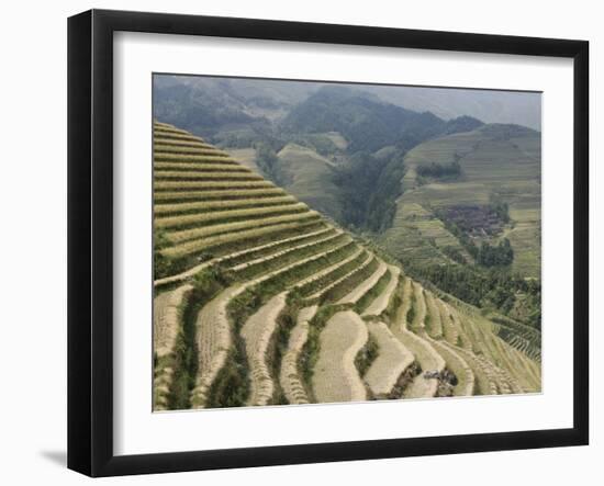 Longsheng Terraced Ricefields, Guilin, Guangxi Province, China-Angelo Cavalli-Framed Photographic Print