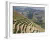 Longsheng Terraced Ricefields, Guilin, Guangxi Province, China-Angelo Cavalli-Framed Photographic Print