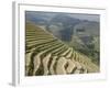 Longsheng Terraced Ricefields, Guilin, Guangxi Province, China-Angelo Cavalli-Framed Photographic Print