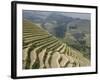 Longsheng Terraced Ricefields, Guilin, Guangxi Province, China-Angelo Cavalli-Framed Photographic Print