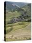 Longsheng Terraced Ricefields, Guilin, Guangxi Province, China-Angelo Cavalli-Stretched Canvas