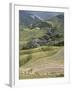 Longsheng Terraced Ricefields, Guilin, Guangxi Province, China-Angelo Cavalli-Framed Photographic Print