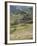 Longsheng Terraced Ricefields, Guilin, Guangxi Province, China-Angelo Cavalli-Framed Photographic Print