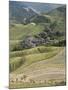 Longsheng Terraced Ricefields, Guilin, Guangxi Province, China-Angelo Cavalli-Mounted Photographic Print