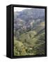 Longsheng Terraced Ricefields, Guilin, Guangxi Province, China-Angelo Cavalli-Framed Stretched Canvas