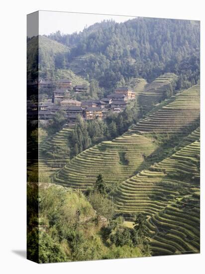 Longsheng Terraced Ricefields, Guilin, Guangxi Province, China-Angelo Cavalli-Stretched Canvas