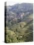 Longsheng Terraced Ricefields, Guilin, Guangxi Province, China-Angelo Cavalli-Stretched Canvas