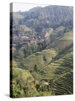 Longsheng Terraced Ricefields, Guilin, Guangxi Province, China-Angelo Cavalli-Stretched Canvas