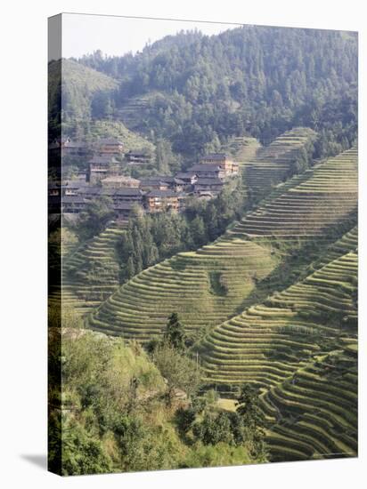 Longsheng Terraced Ricefields, Guilin, Guangxi Province, China-Angelo Cavalli-Stretched Canvas