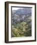 Longsheng Terraced Ricefields, Guilin, Guangxi Province, China-Angelo Cavalli-Framed Photographic Print