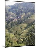 Longsheng Terraced Ricefields, Guilin, Guangxi Province, China-Angelo Cavalli-Mounted Photographic Print