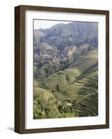 Longsheng Terraced Ricefields, Guilin, Guangxi Province, China-Angelo Cavalli-Framed Photographic Print