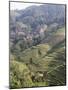 Longsheng Terraced Ricefields, Guilin, Guangxi Province, China-Angelo Cavalli-Mounted Photographic Print