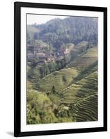 Longsheng Terraced Ricefields, Guilin, Guangxi Province, China-Angelo Cavalli-Framed Photographic Print